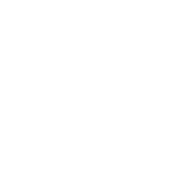 Strategic Leadership